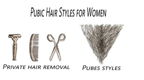 pubic hair pictures|Category : Pubic hair